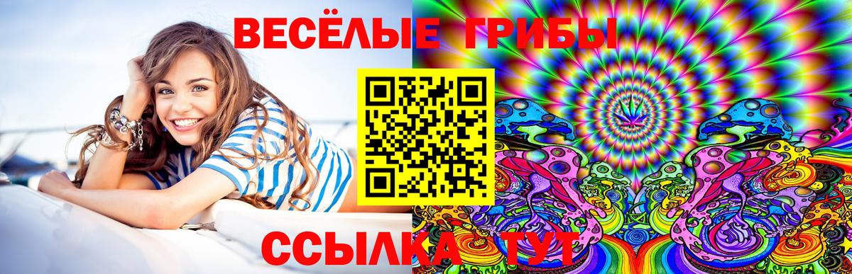 Галлюциногенные грибы ЛСД Трёхгорный